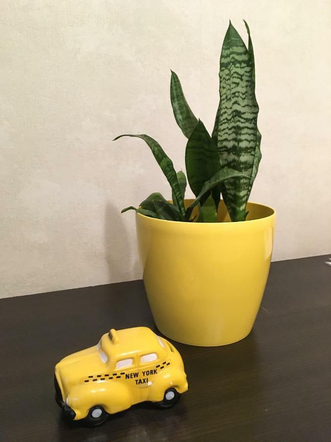 Sunflower Apartment Near Kiev Airport & Railway Station & Center City! Eksteriør bilde